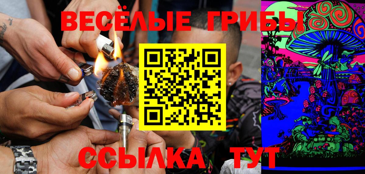 Курск  Галлюциногенные грибы GOLDEN TEACHER  Вход с VPN 