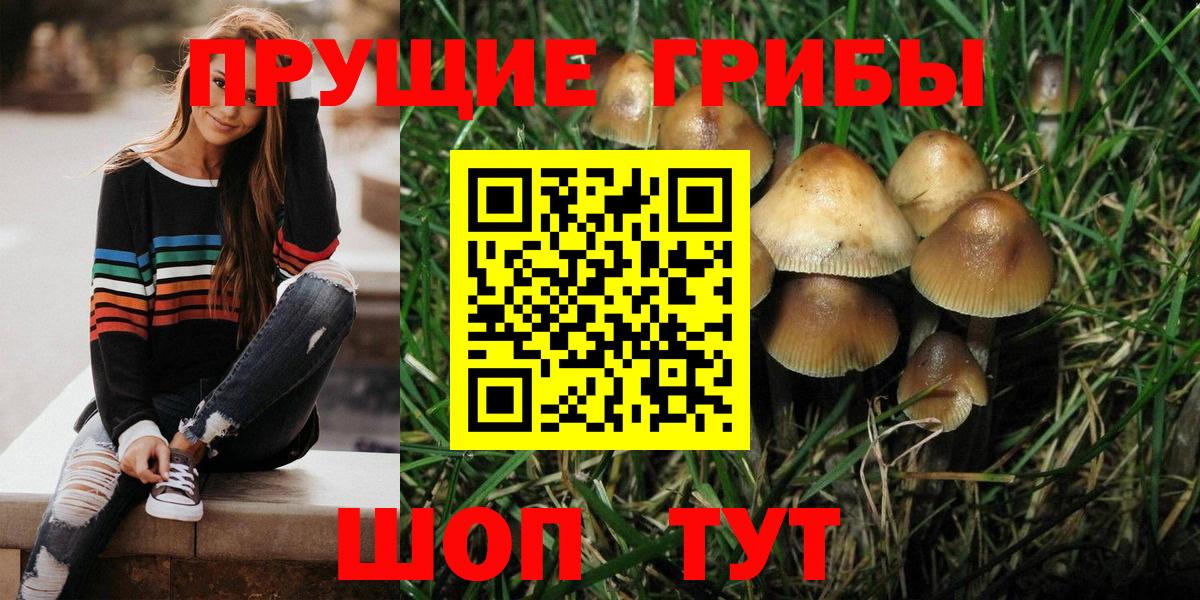 Галлюциногенные грибы прущие грибы Курск
